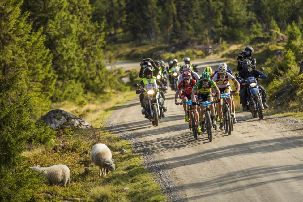 DYRELIV: Mange steder er det ikke den løse grusen som er en utfordring for elitesyklistene, men mer de raggete stabbesteinene som vandrer både i og langs løypa. Foto: Snorre Veggan 11 - birken2017-0035a