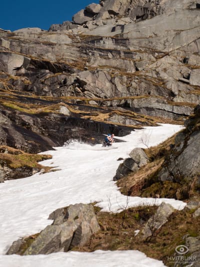 Ellingjord-Hvitblikk_20190518NOR1292