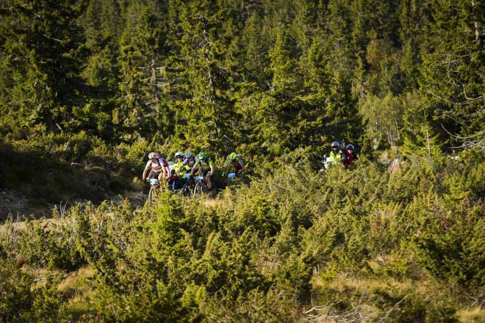 SKOG OG EINER: Dette er det vel aller mest av over fjellet. Foto: Snorre Veggan 23 - birken2017-0310a