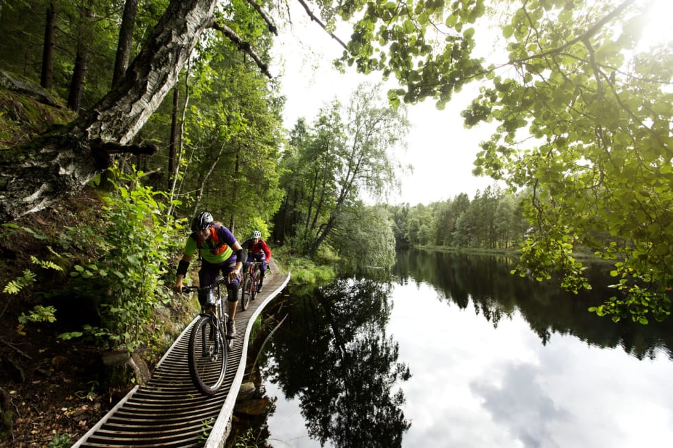 TUNGVEKTEREN: Jan Fasting på hjemmebane i Arendal, og den bygde stien Tungvekteren. Foto: Kristoffer H. Kippernes _IPP4130