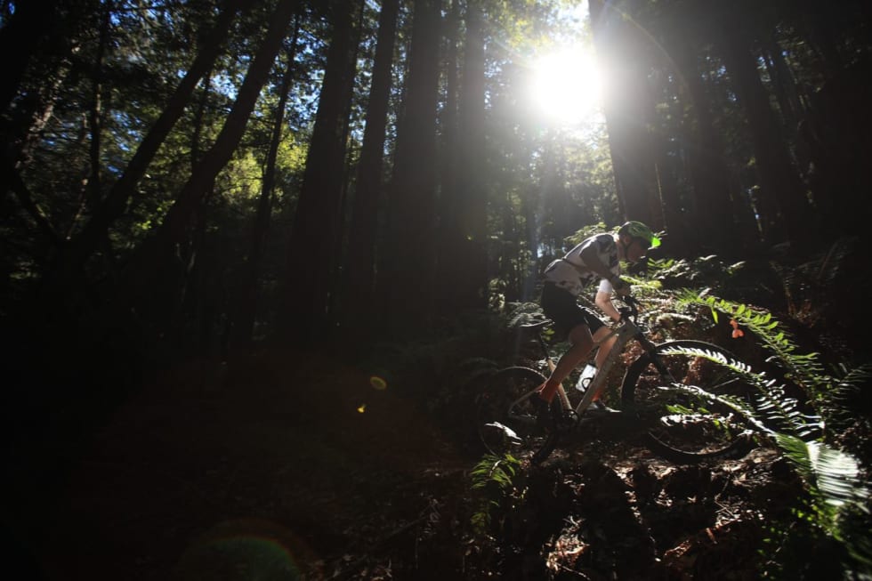 MØRKE PARTIER: Åpne enger og mørke skoger kjennetegner stiene i Santa Cruz. Foto: Gary Perkin