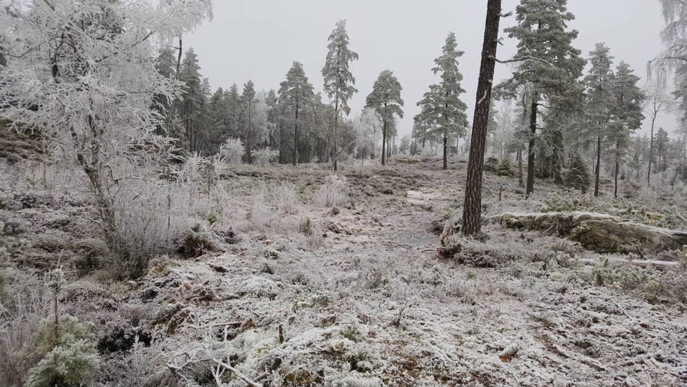 Fra løypestatus fra Stomperudtraséen tyder på at den er bedre egnet til sykkelritt enn skirenn også i år. Foto: Stomperudarrangementene Stomperudrittet løype - Arrangøren 1400x788