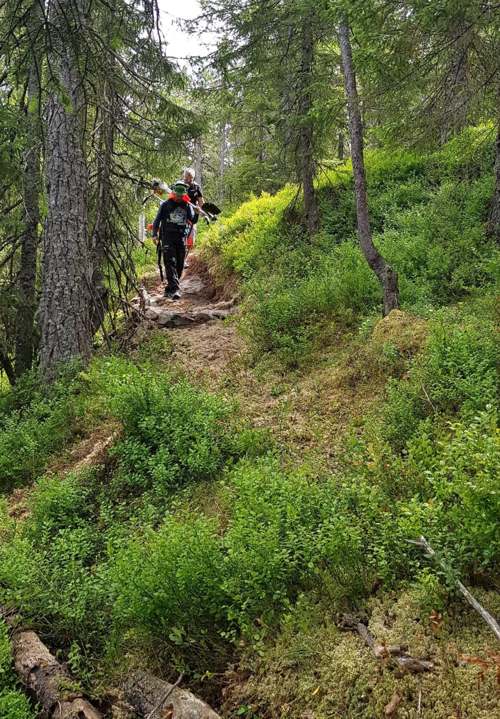 Dette er den nye stien som skal brukes i årets utgave av Hakadal Enduro. Foto: Stian T. Eilifsen Hakadal Enduro 2018 - new trail - Stian T Eilifsen 1200x