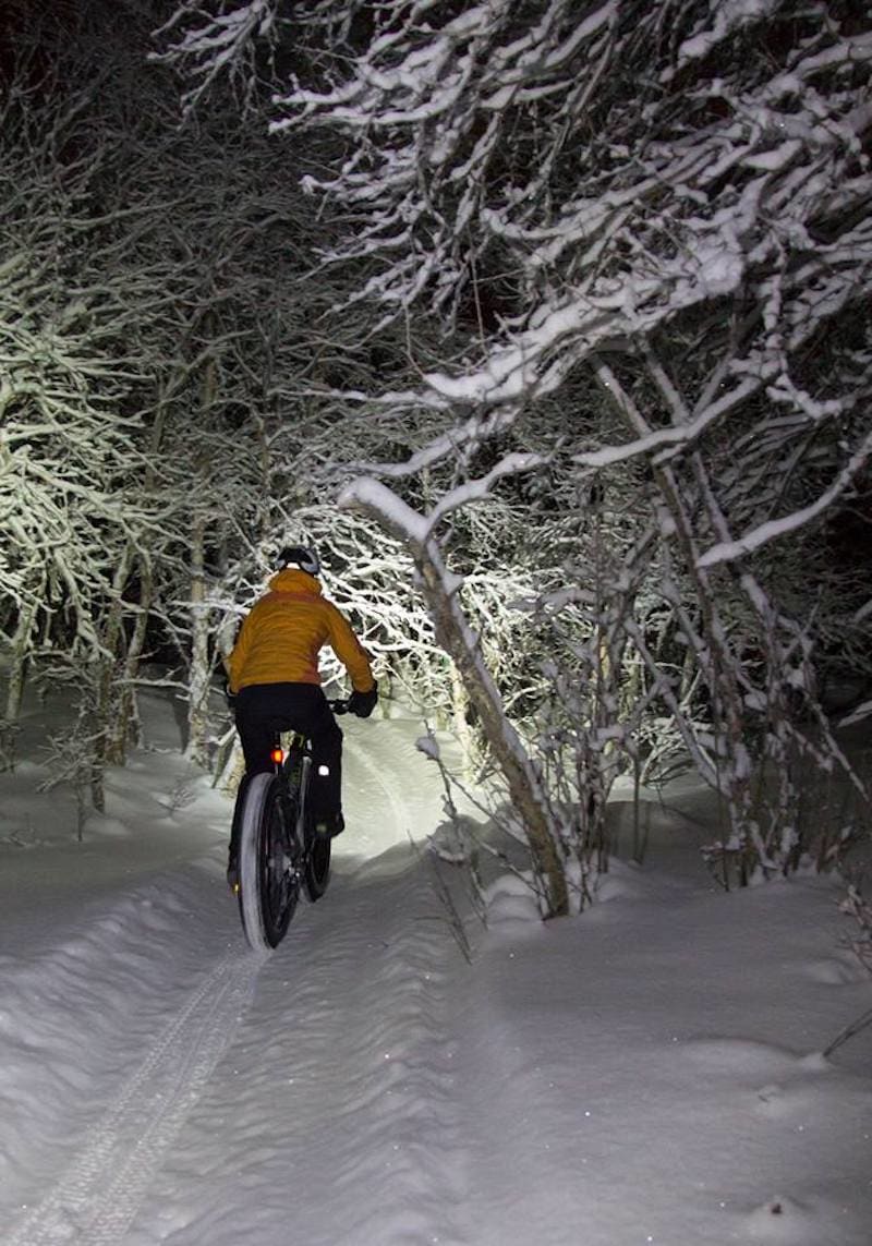 Tjukksykkelkveldstur på smale stier gir en egen stemning. Foto: glodexplorer.no Night ride - glodexplorer.no 800x