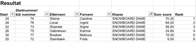 Snow-damer