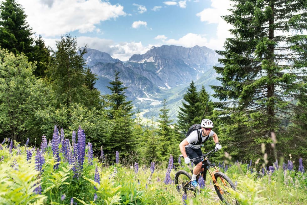 TESTING TESTING: Terrengsykkel dro til Kranjska Gora i Slovenia for å teste den nye XTR-gruppen. Foto: Shimano / Irmo Keizer _IKS4032