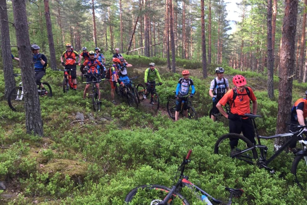 Folksomt i skogen. Foto: Markus Finholt Stitur Skien Markus Finholt 1400x933