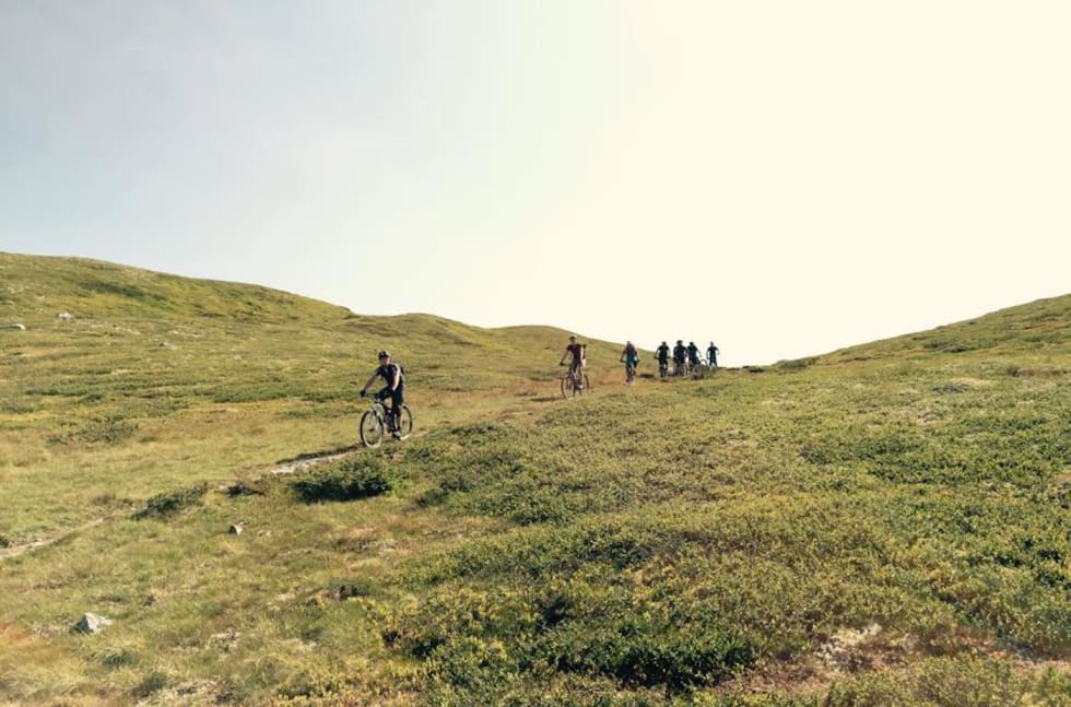 Stisykling sliter ikke mer på stiene enn annen aktivitet. Det slår norske forskere fast i ny studie. Her er en gruppe stisyklister på tur i Øyerfjellet. Foto: Ole Wattne/NOTS Lillehammer Øyer fjellet - Ole Wattne 1400x924