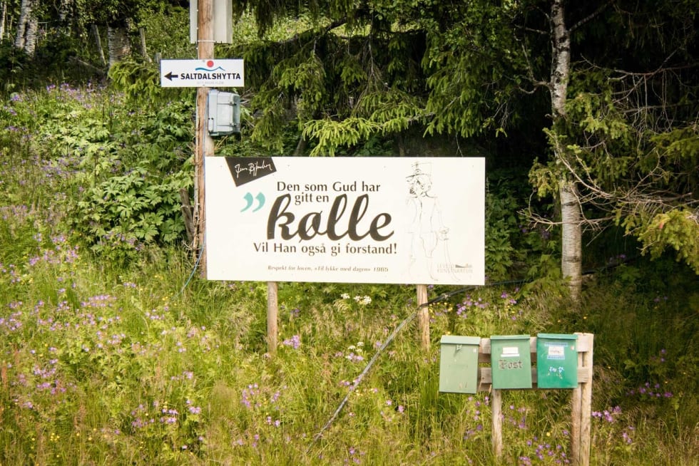 Stivert: Landlig poesi på vei opp til Fanitullvegen.