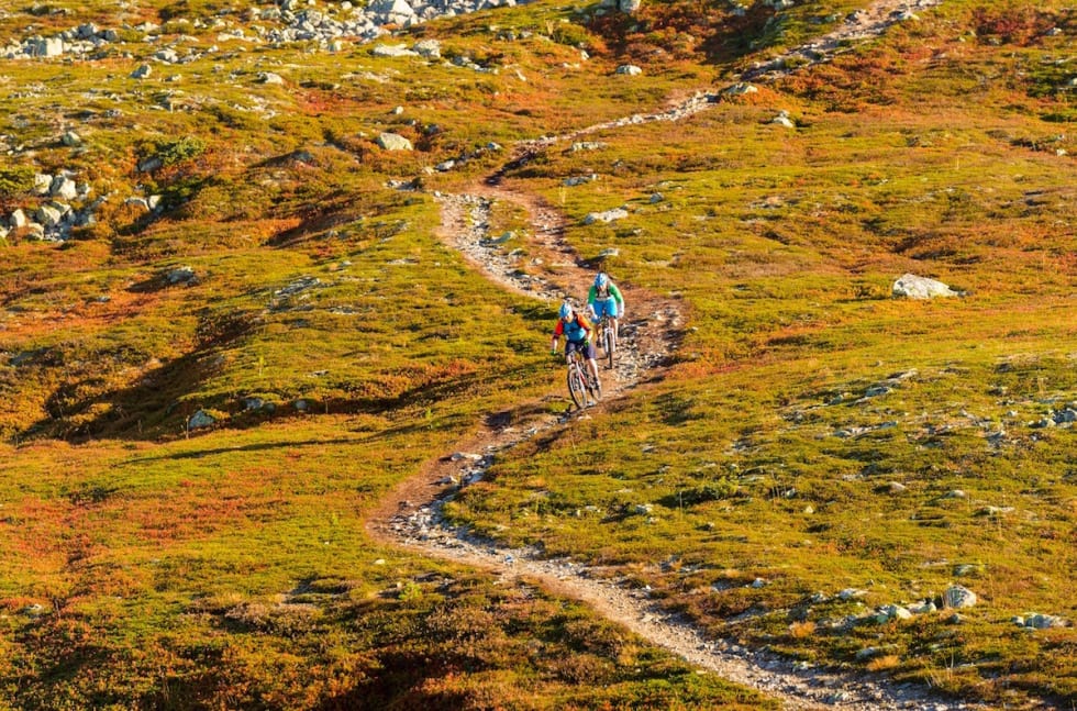 Mange ønsker å sykle naturlige stier, og der har Trysil allerede mye å by på. Enda mer skal merkes. Foto: Destinasjon Trysil Stisykling Trysil 1- Foto Ola Matsson 1200x792