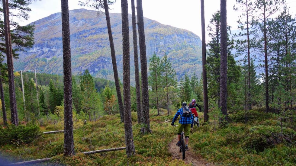 Svaberg, elveleier, barnålstier og over 3000 høydemeter sto på turmenyen på lørdag. Foto: Tommy Aslaksen Barnålsstier Lido Jentecamp Folven 2017 - Foto Tommy Aslaksen 1200x
