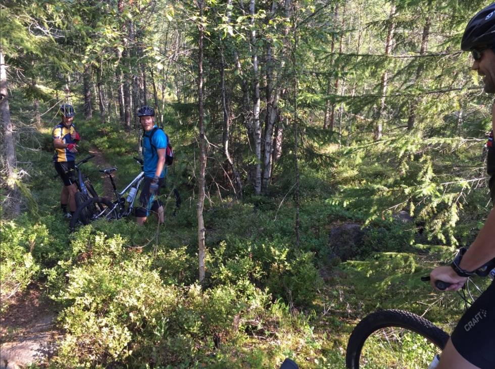 Lars Finholt og kompisene på fartslek-tur. Foto: Privat Fartslek 1 - Privat