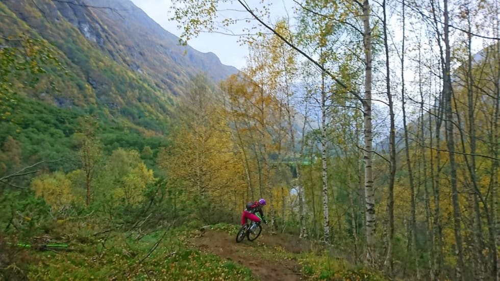 Napen er Stryns nye flytsti. Den innbyr til shuttling og fart, samt at den fungerer som en forbindelse mellom Himalayastien og lavererliggende strøk. Foto: Tommy Aslaksen Napen stien Jentecamp Folven 2017 - Foto Tommy Aslaksen 1200x copy
