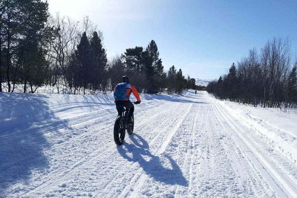 Noen steder er skuterløypa ti meter bred, slik som her gjennom hyttefeltet Bollo i Alta kommune. Foto: Ulf Helge Johansen Skuterspor på ti meters bredde Hyttefelt Bollo i Alta kommune - Kombinert ski- og skuterløype Trond Olsen nærmest Even Johansen og Lars Harald Blomkvist - Stig R Nilsen copy 1400x933