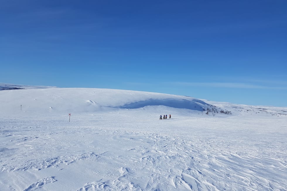Den årlige langturen er best i godvær. Derfor legges den helst til april, når sjansen for bra vær er størst. Her på Beskades fjellparti mellom Gargia og Suolovuopmi. Foto: Ulf Helge Johansen Store vidder - på Beskades fjellparti mellom Gargia og Suolovuopmi Foto Ulf Helge Johansen 1400x933