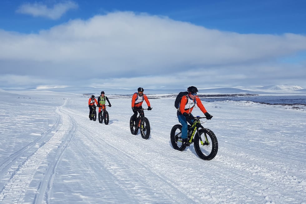 Turfølget ved Ragesvuopmi. Fremst: Trond Olsen, Even Johansen, Lars Harald Blomkvist og Stig R. Nilsen. Foto: Ulf Helge Johansen Flott vær Ved Ragesvuopmi Fremst Trond Olsen - Even Johansen - Lars Harald Blomkvist og Stig R Nilsen Foto Ulf Helge Johansen 1400x933
