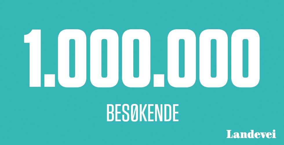 besøkende-på-landevei