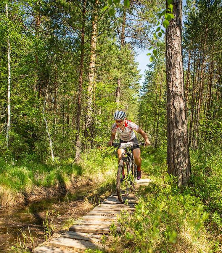 Hildegunn Gjertrud Hovdenak vant Elgrittet med nesten ti minutters margin. Foto: Pål Westgaard Hildegunn Gjertrud Hovdenak - Elgrittet 2018 - Pål Westgaard 750x