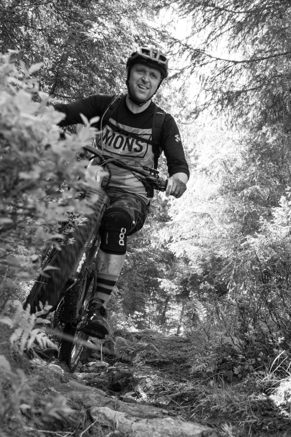 En fin dag i skogen. Foto: Zoltson