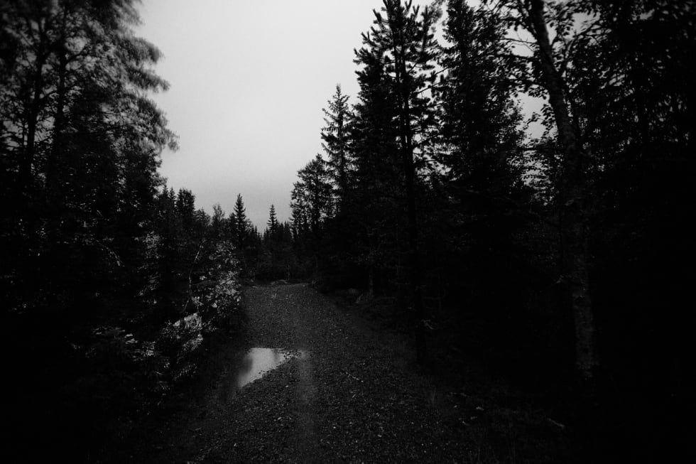 UT PÅ VEIEN: Mellom Bringbusætra og Bjønnåsen tar rytterne fatt på grusvei igjen etter et parti på smalere grusstier. Foto: Kristoffer H. Kippernes _IPP6898