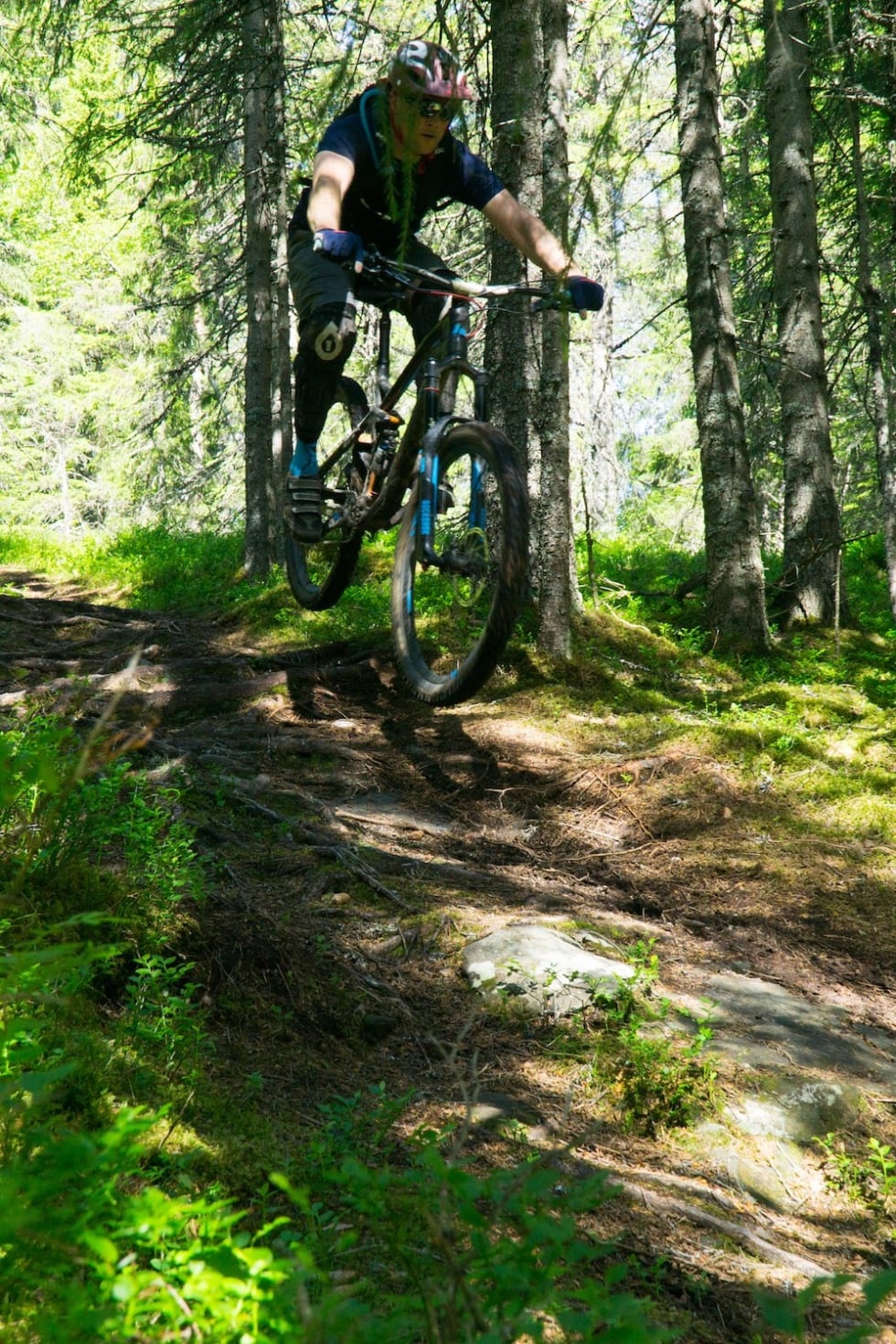 Røtter og stein går som en lek. Foto: Zoltson