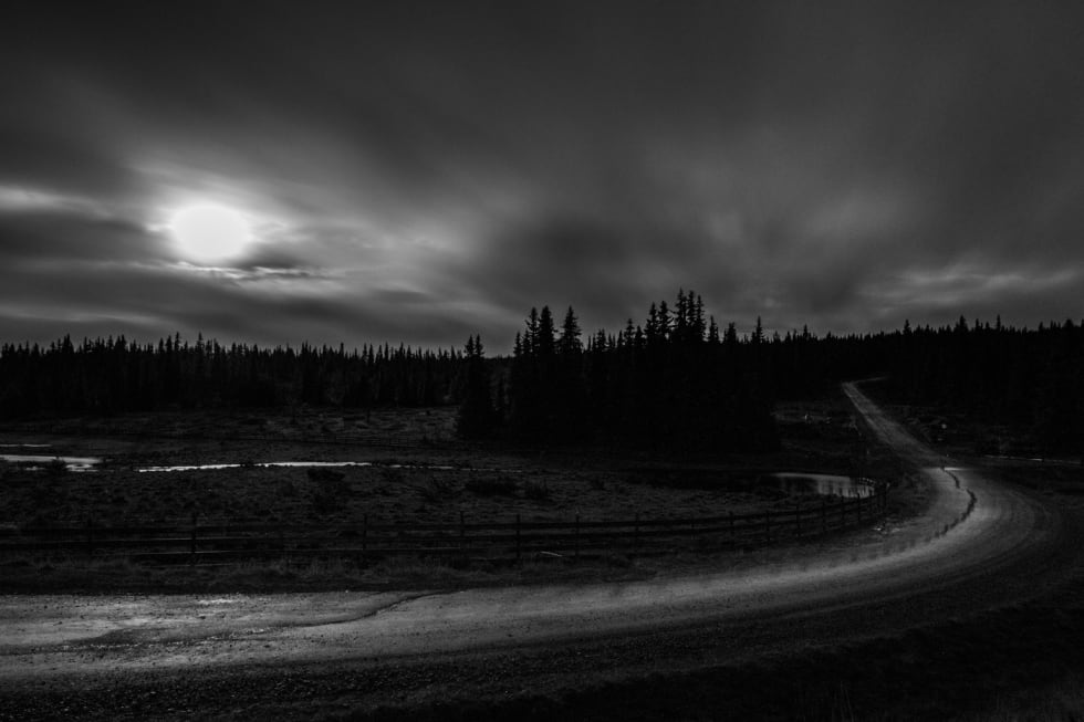ENTER ROSINBAKKEN: Sagnomsust, omtalt, elsk/hat, her i all sin prakt: Rosinbakken. Foto: Snorre Veggan. birken2015-9785a