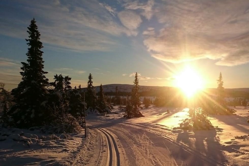 Området Sjusjøen-Øyerfjellet har over 80 kilometer oppkjørte løyper. Foto: Skiinfo Lillehammer
