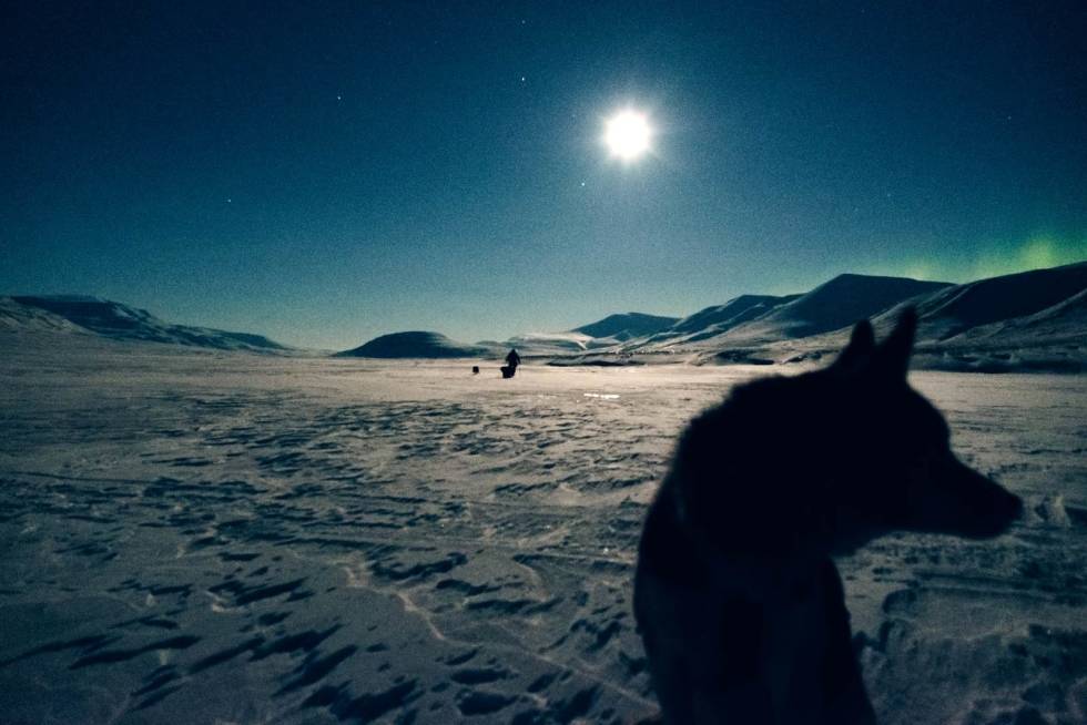 VINTERMAGI: På ski med hunder og pulk inn i Nordenskiöld Land under fullmåne og nordlys, med 25 minusgrader og frisk motvind. 2-D.Wojtanowicz_Inn-i-polarnatten