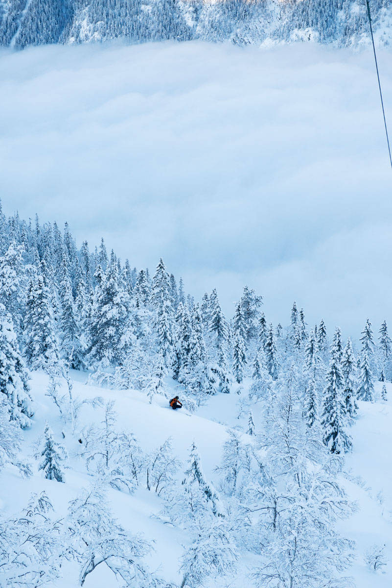 DEILIG: I skogen på vei ned til Rjukan. Foto: Anki Grøthe Gaustatoppen