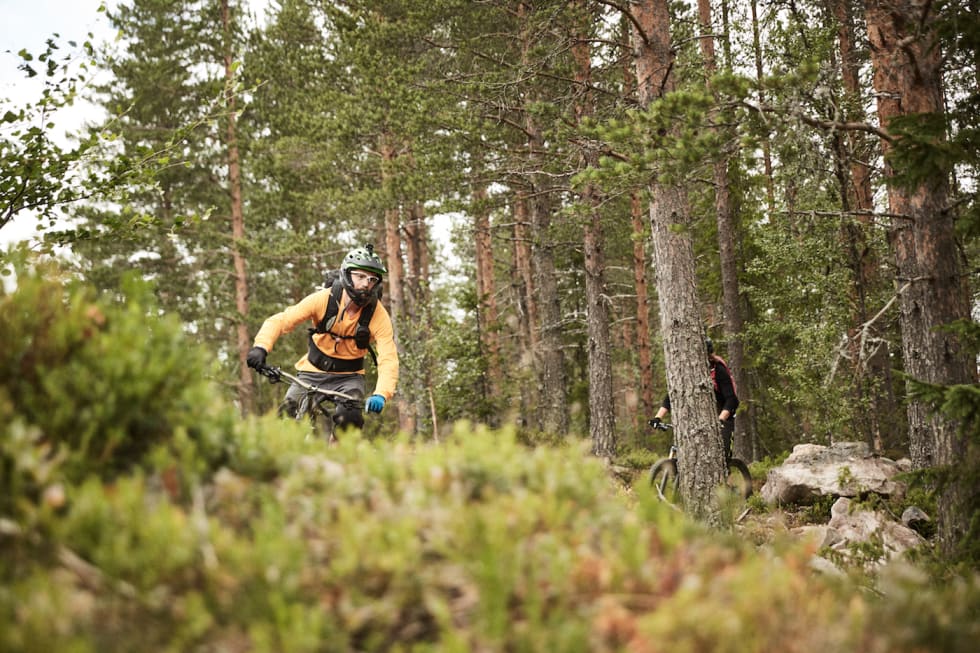 Fra Trysils dype skoger. Foto: Torgeir Storflor Moen Skog Torgeir Sorflor Moen