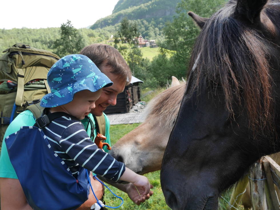 UTLADALEN: En fin tur for hele familien en sommerdag. Foto: Nina Halvorsrød utladalen