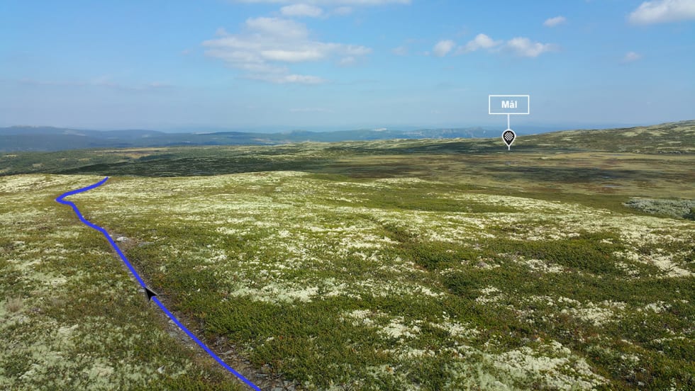 Stravasegment fra Bukkerittet 2.0. Foto: Knut Helstad Strava Skeikampen - Knut Helstad 2