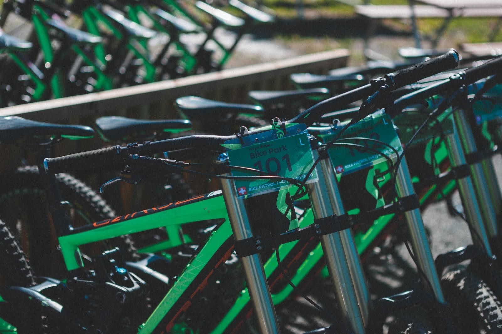 TRYGT VALG: Om du ikke har egen utforsykkel, kan det være greit å leie en i anlegget. Det sparer din egen sykkel for slitasje, og kroppen for litt juling.