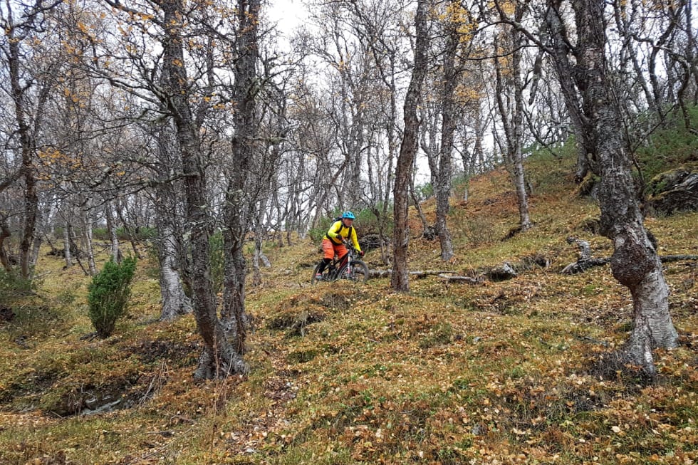 Oppdal Stisykkelcamp 2017 - Henrik Kippernes Oppdal Sticamp 2017 6 - 1400x933