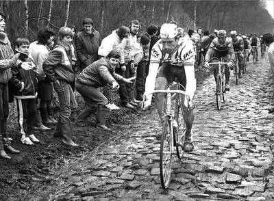 Sean Kelly