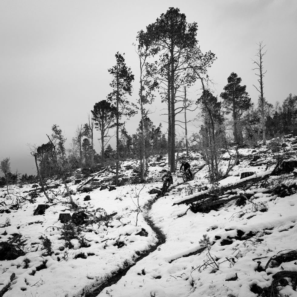 Med snøfallet ble stiene en helt annen opplevelse enn på barmark. Foto: Ludvig Yttergren Ludvig Yttergren 1200x1200
