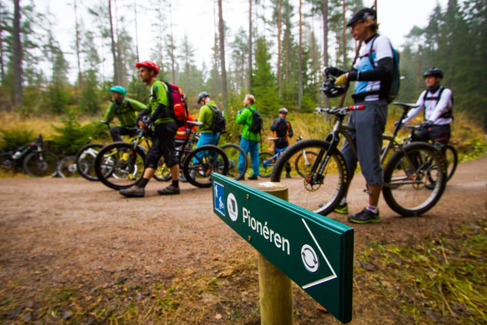 RIKTIG START: Nei, forresten. Det er akkurat her stien starter. Kattisa til høyre, Rustadsaga til venstre. (foto: Snorre Veggan) pioneren-2062a