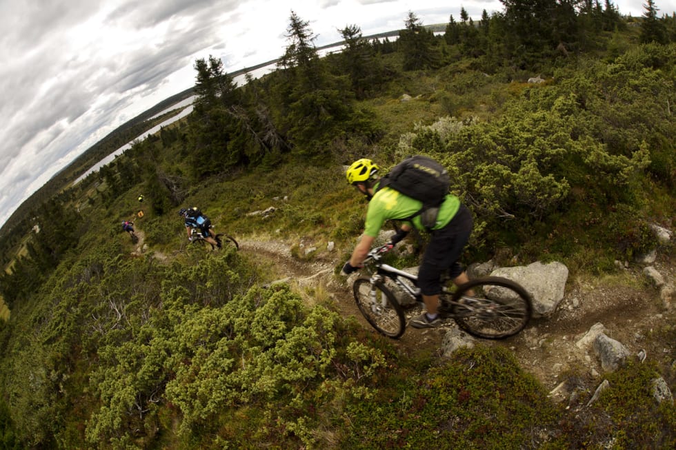 RENNA: Ned fra Reinsfjell var stien både smal og dyp, og full av steiner. (foto: Kristoffer H. Kippernes) 5C2A5050