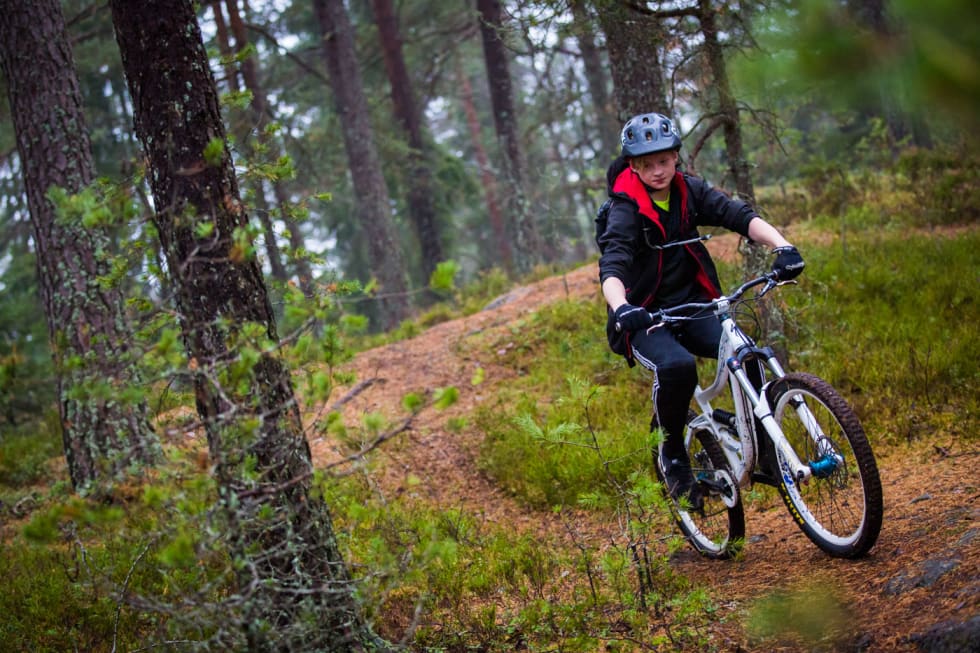 FLYTSTI: Når man omsider er oppe på Skullerudåsen, så skifter stiene litt karakter. (foto: Snorre Veggan) pioneren-3319a