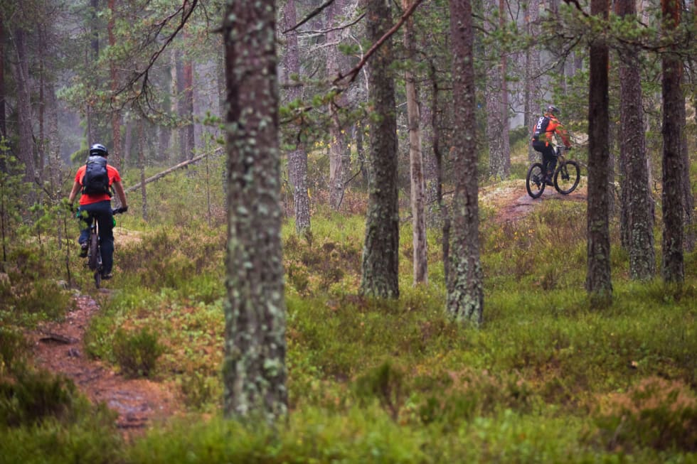 NATUR: Vanskelig å påstå at man ikke får en naturopplevelse av å sykle Pioneren. (foto: Snorre Veggan) pioneren-3325a
