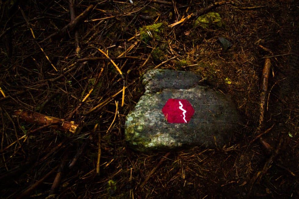 MERKING: Merkingen av løypa er på prøvestadiet og dette er et av merkene som blir prøvd ut. (foto: Snorre Veggan) pioneren-2154a