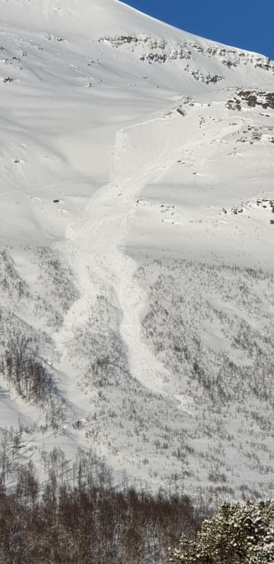 STORT: Skredet gikk på Blåbærfjellet i Tamokdalen torsdag. Foto: Aadne Olsrud