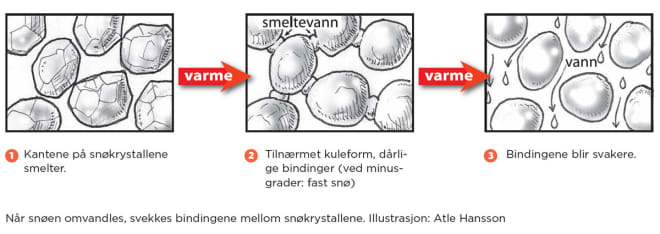 snøomvandling