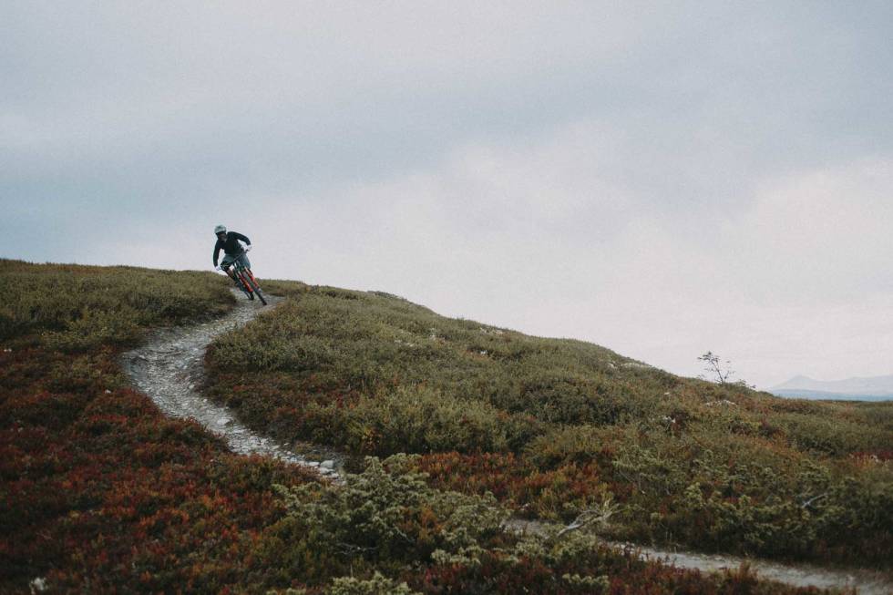 SÅ BRA AT..: Noen stier oppsøker man om og om igjen. Men hva med de helt ferske, nye, som man aldri har prøvd før? De er vel ekstra bra? Foto: Kristoffer H. Kippernes stisykling utfor tips