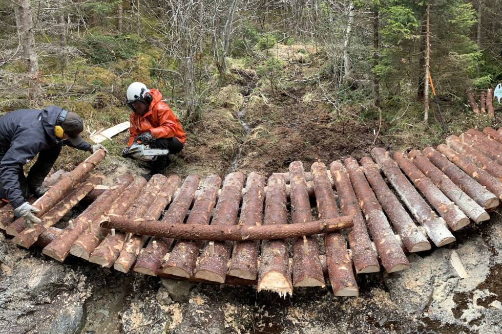 Årdal grovsyklarlaug brukte koronavåren til stibygging i Seimsdalen. Nå vil de bygge pumptrack og hopplinje også. Foto: Erlend Ese Stibygging i Seimsdalen