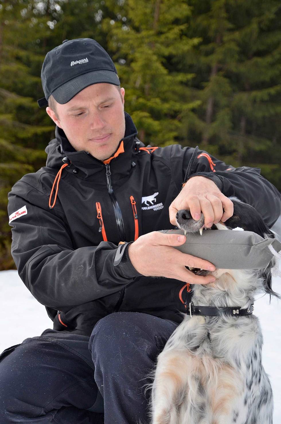 Rolig start: Start treningen med å la hunden sitte ved siden av deg. Legg inn apportbukken og la den holde. Bli trygg på denne øvelsen før dere går videre. Apportdressur-2