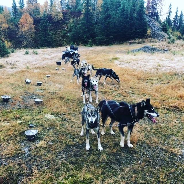 Hundetreningen gjennomføres på barmark med ATV på høsten. Foto: Privat Hundekjøring trening barmark