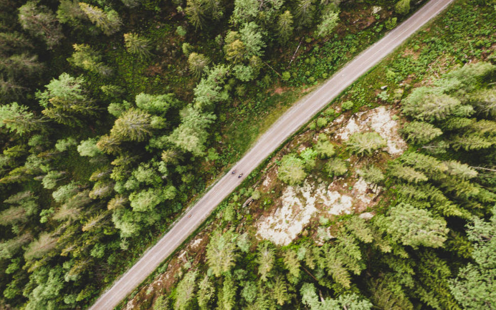 SKOGENS RO: Den finner du overalt i Norge. Men hva med å bli natten over? bikepacking i Nordmarka