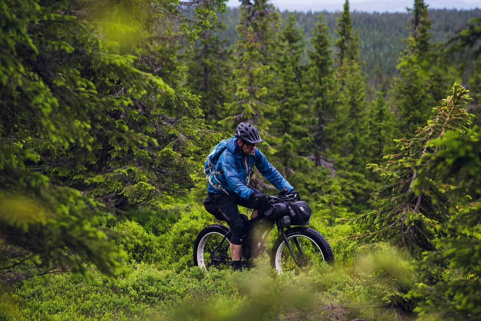 FLYTSTI: Etter Lillehammerfjellet venter barnålstiene i lavlandet. Joe Newton finner flyten nord for Elverumtraktene. Bikepacking-Storlien–Oslo-13