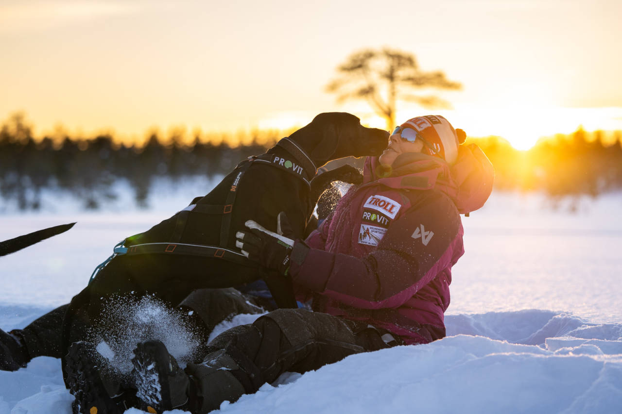 LEKENT: Hundene ser på trening som lek og moro! Foto: Therese n: Andersen lena boysen hillestad